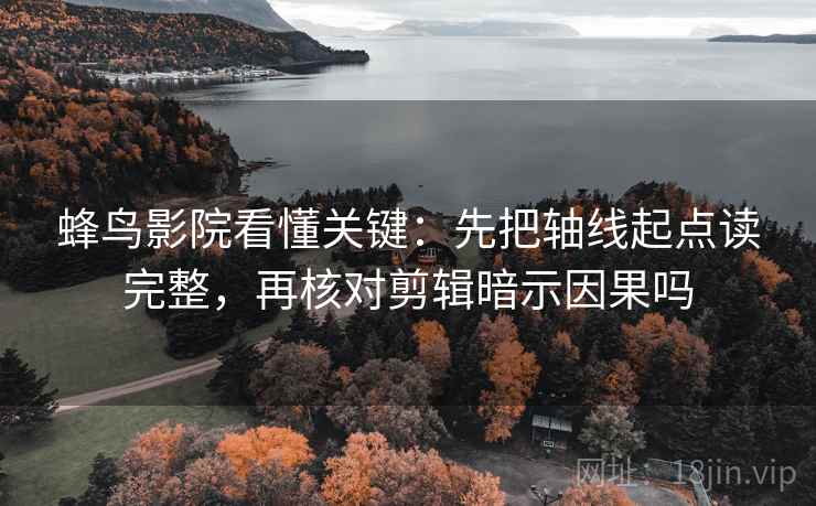 蜂鸟影院看懂关键：先把轴线起点读完整，再核对剪辑暗示因果吗